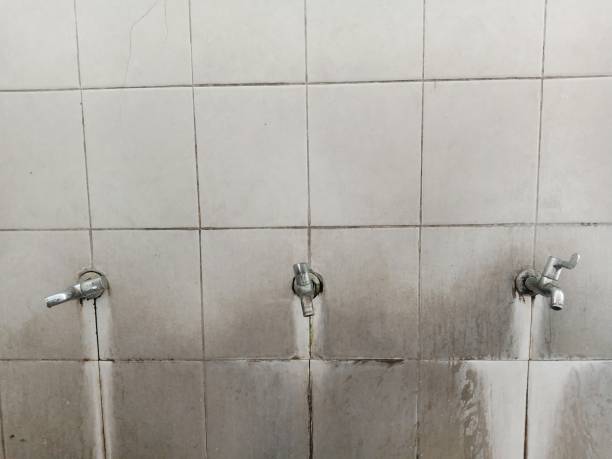 Best Water damage cleanup near me  in Milton, FL