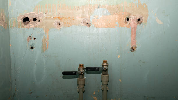 Best 24-hour water damage restoration  in Milton, FL